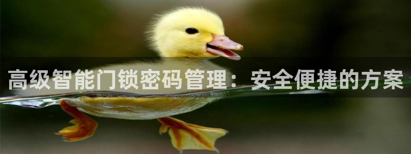金年会国际