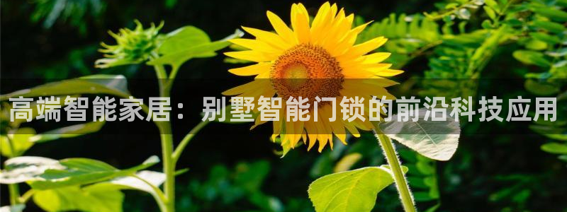 金年会活动