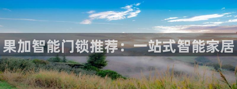 今金年会