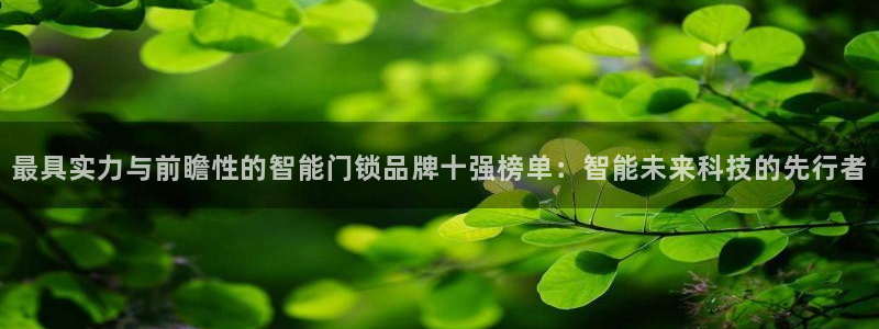 金年会官网app：最具实力与前瞻性的智能门锁品牌十强榜单：智