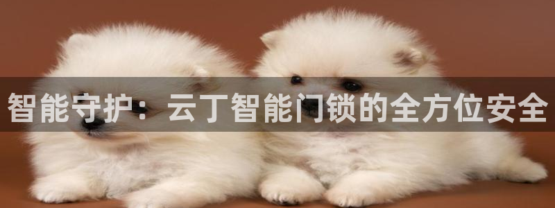 澳门金年会棋牌