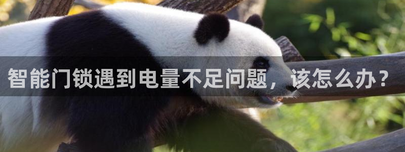 金年会金年会：智能门锁遇到电量不足问题，该怎么办？