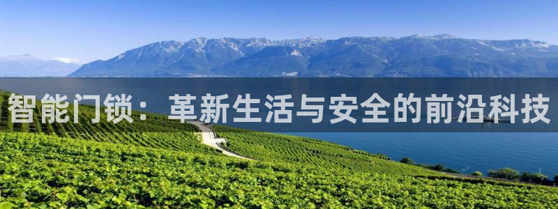 金年会金年华：智能门锁：革新生活与安全的前沿科技