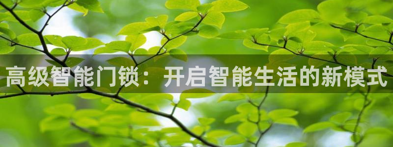 金年会拼音