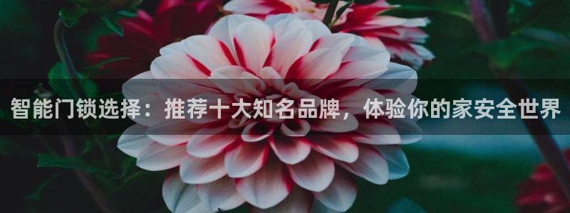 金年会 中国 金年会