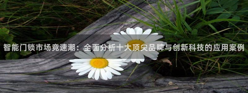 金年会赞助曼联