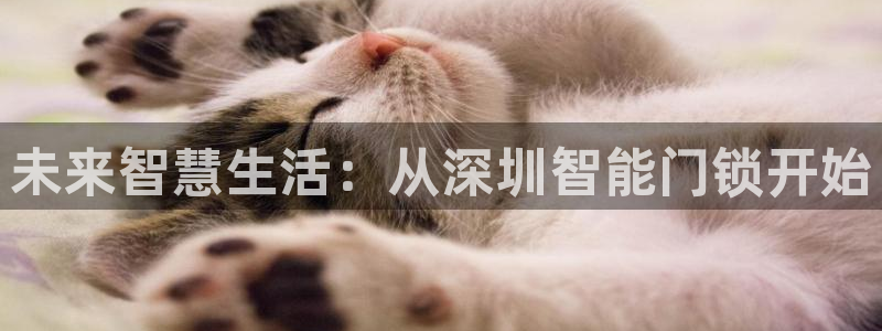 澳门娱乐金年会