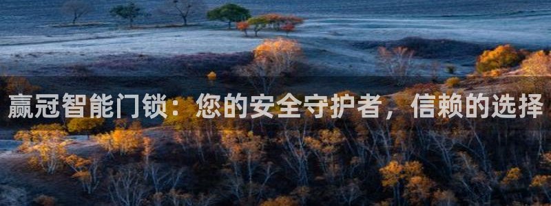 金年会网页登录：赢冠智能门锁：您的安全守护者，信赖的选择