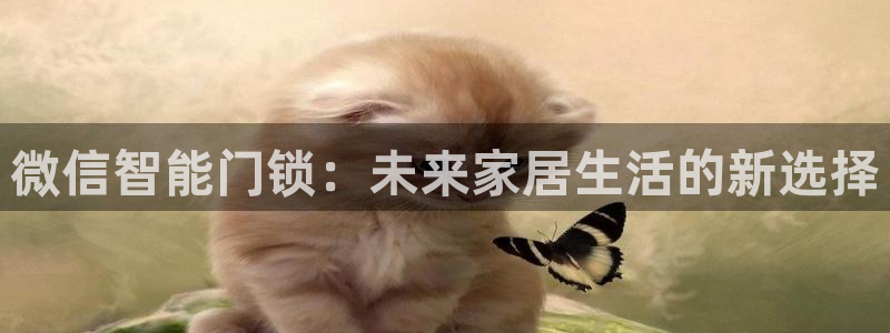 金雅陶瓷年会现场：微信智能门锁：未来家居生活的新选择
