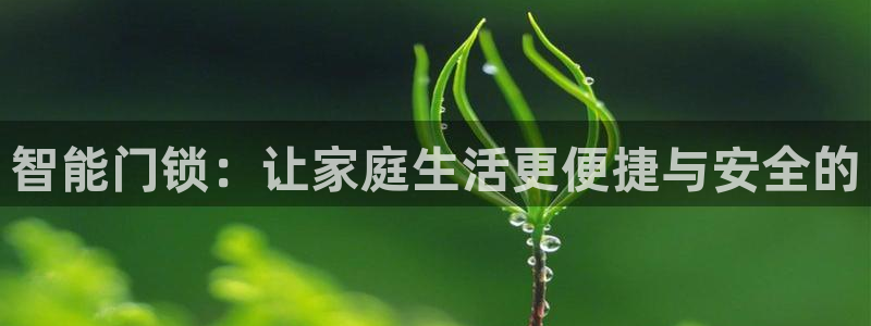金年会6766001：智能门锁：让家庭生活更便捷与安全的