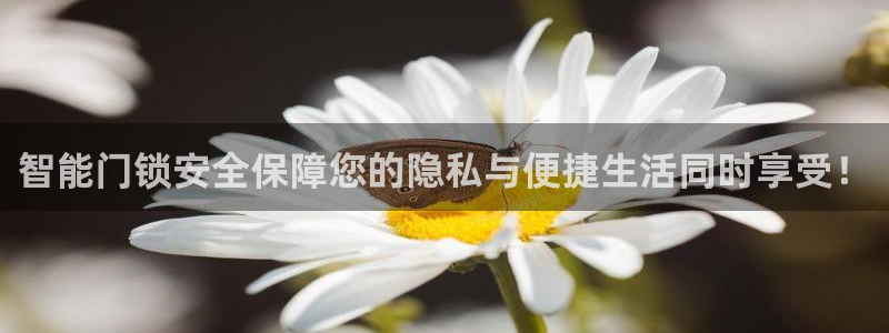 金年会体育平台在线登录：智能门锁安全保障您的隐私与便捷生活同