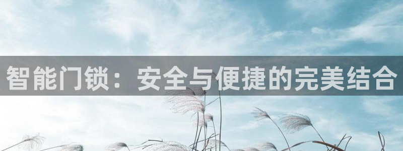 金年会官方在线登录：智能门锁：安全与便捷的完美结合
