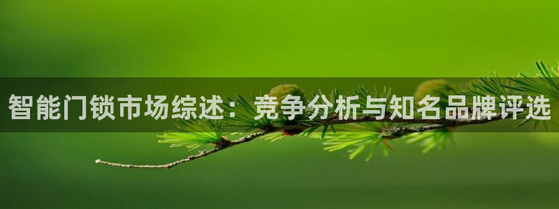 金年会 信誉至上：智能门锁市场综述：竞争分析与知名品牌评选