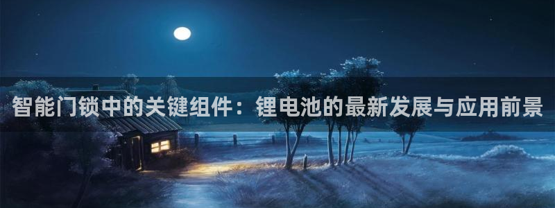 金年会足彩：智能门锁中的关键组件：锂电池的最新发展与应用前景