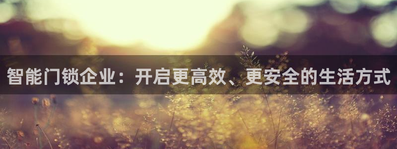 金年会赞助西甲：智能门锁企业：开启更高效、更安全的生活方式