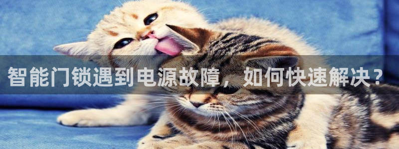 金年会综合APP：智能门锁遇到电源故障，如何快速解决？