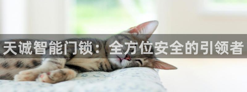 金科年会图片：天诚智能门锁：全方位安全的引领者