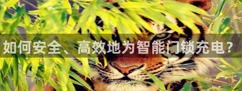 金年会ios下载：如何安全、高效地为智能门锁充电？