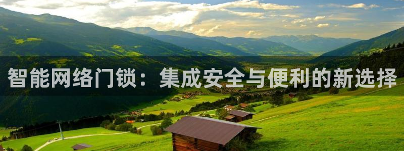 金年会拼音：智能网络门锁：集成安全与便利的新选择