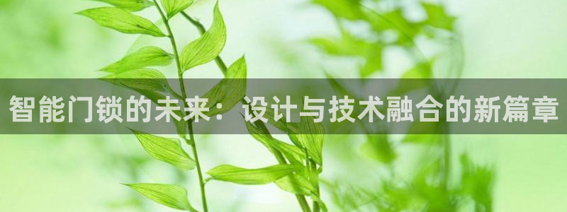 金年会拼音：智能门锁的未来：设计与技术融合的新篇章