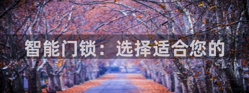金年会是正规的吗