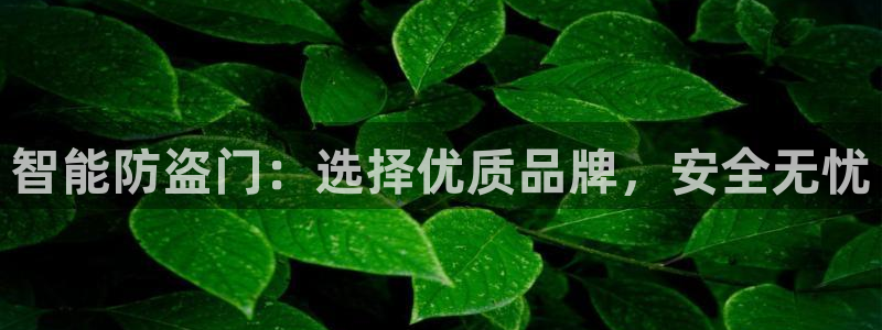 金年会在线入口：智能防盗门：选择优质品牌，安全无忧