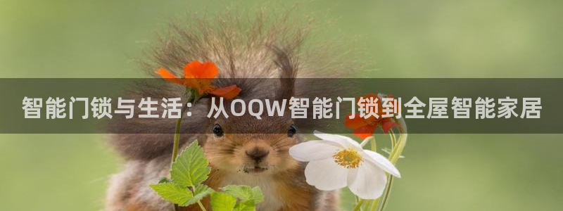 金年会彩金：智能门锁与生活：从OQW智能门锁到全屋智能家居