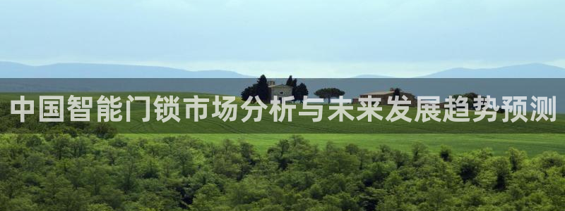 金年会体育app：中国智能门锁市场分析与未来发展趋势预测