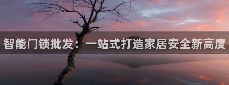 金年会娱乐提现：智能门锁批发：一站式打造家居安全新高度