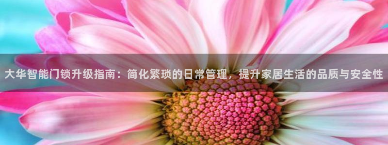 金年会娱乐官网：大华智能门锁升级指南：简化繁琐的日常管理，提