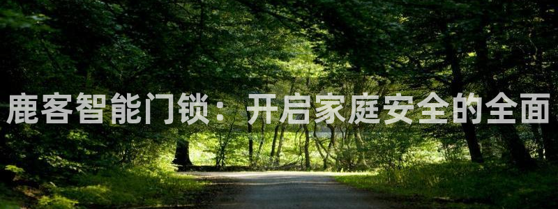 类似金年会：鹿客智能门锁：开启家庭安全的全面