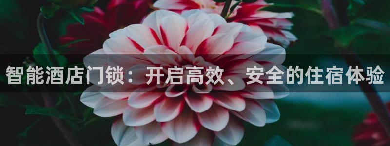 2022年金科年会：智能酒店门锁：开启高效、安全的住宿体验