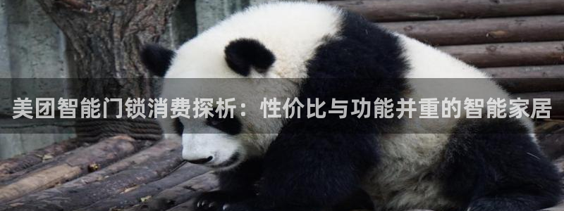 金年会金字招牌信誉至上：美团智能门锁消费探析：性价比与功能并
