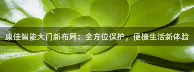 金年会是真的吗：康佳智能大门新布局：全方位保护，便捷生活新体