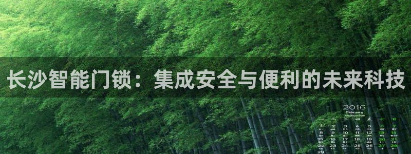 金年会代理：长沙智能门锁：集成安全与便利的未来科技