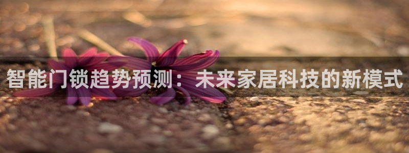 金年会平台是真的吗：智能门锁趋势预测：未来家居科技的新模式