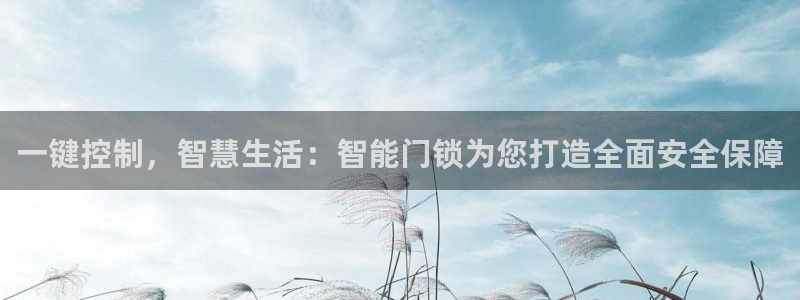 金年会菲律宾：一键控制，智慧生活：智能门锁为您打造全面安全保