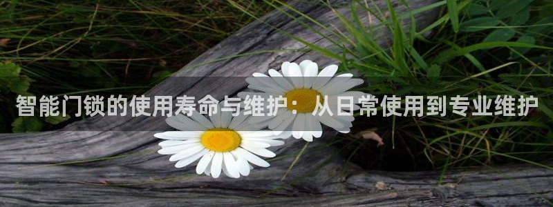 金 金年会：智能门锁的使用寿命与维护：从日常使用到专业维护