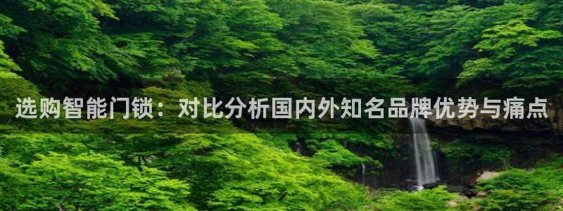 jinnianhui 金年会：选购智能门锁：对比分析国内外知