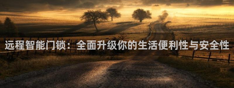 金金年会：远程智能门锁：全面升级你的生活便利性与安全性