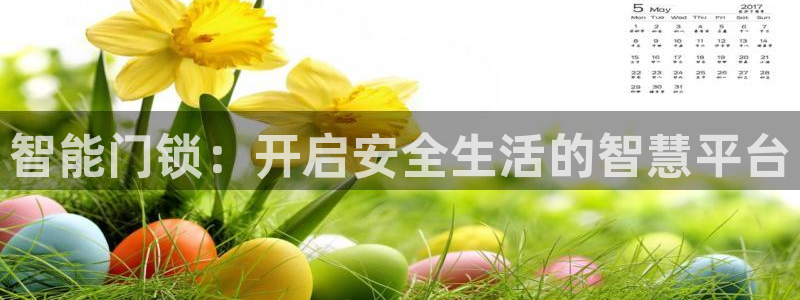 年会金：智能门锁：开启安全生活的智慧平台