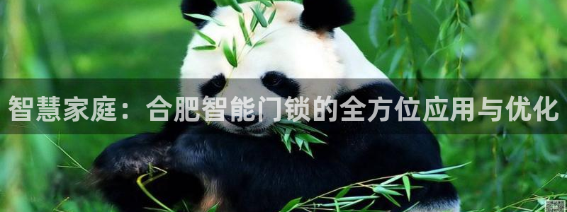 金年会app桌面：智慧家庭：合肥智能门锁的全方位应用与优化