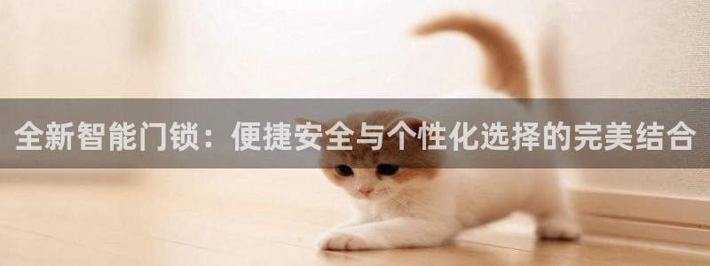 金年会赞助曼联：全新智能门锁：便捷安全与个性化选择的完美结合
