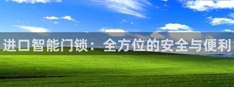 金年会信誉：进口智能门锁：全方位的安全与便利