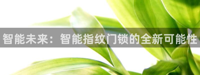 金年会娱乐和马竞：智能未来：智能指纹门锁的全新可能性