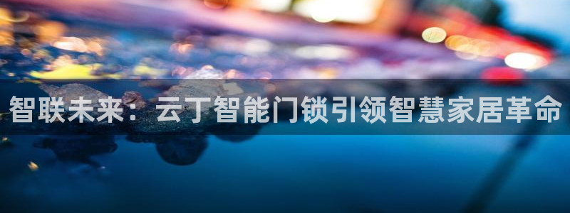 金年会ios下载：智联未来：云丁智能门锁引领智慧家居革命