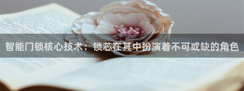 金齿科年会：智能门锁核心技术：锁芯在其中扮演着不可或缺的角色