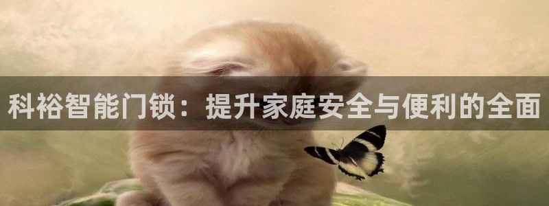 金年会体育娱乐：科裕智能门锁：提升家庭安全与便利的全面