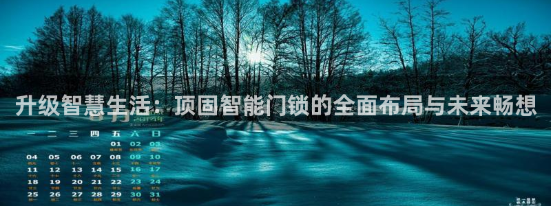 金年会嗨聊app下载：升级智慧生活：顶固智能门锁的全面布局与