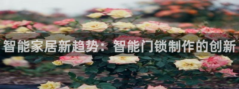 金年会APP黑钱：智能家居新趋势：智能门锁制作的创新